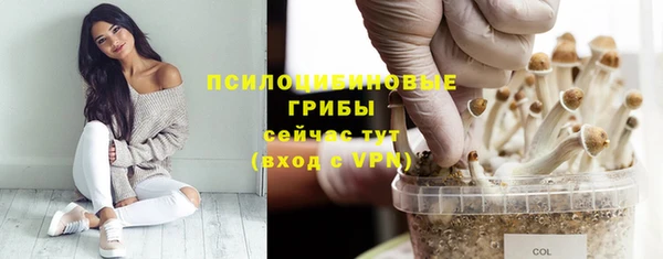 индика Майский