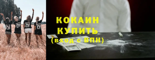 индика Майский
