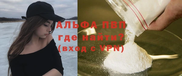 индика Майский