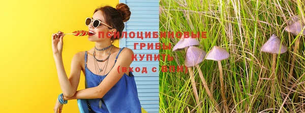 таблы Анжеро-Судженск