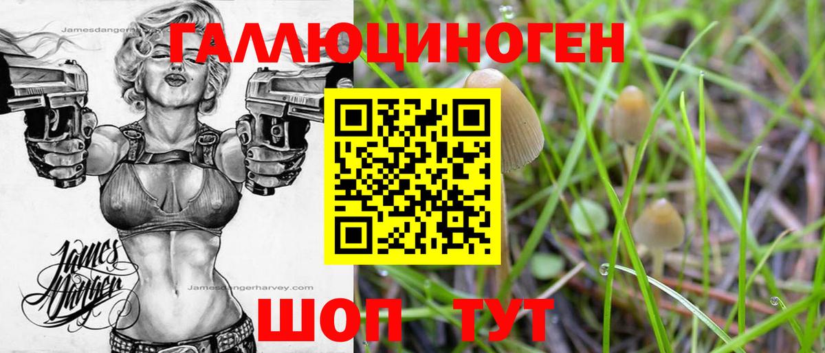 Кисловодск  Псилоцибиновые грибы мицелий  Вход с VPN 